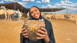 Camel farm experience in Baidoa Somalia
