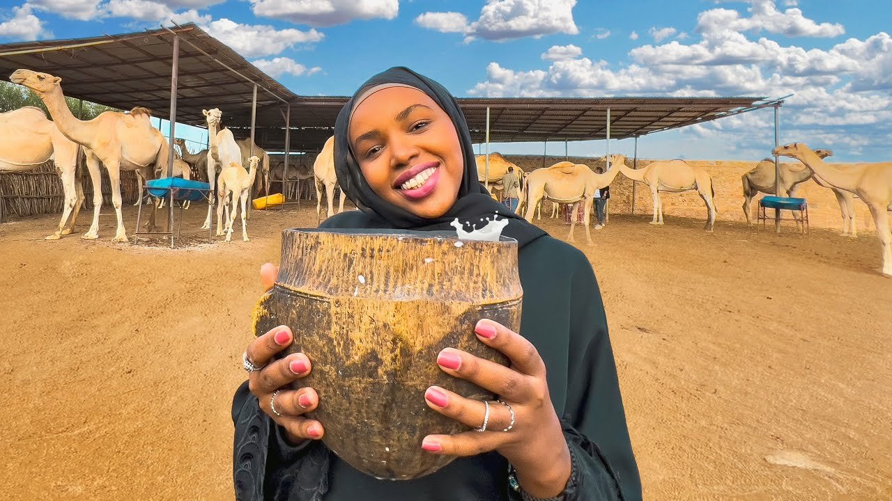 Camel farm experience in Baidoa Somalia